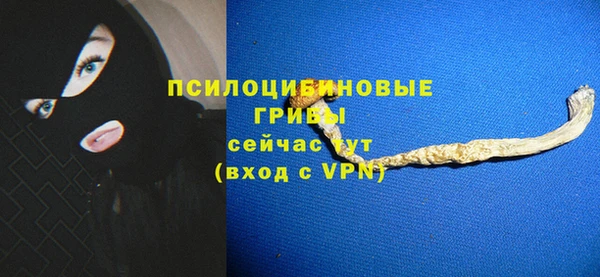 не бодяженный Аркадак