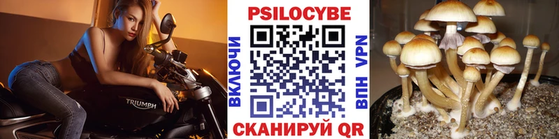 Псилоцибиновые грибы MAGIC MUSHROOMS  купить наркоту  Сарапул 